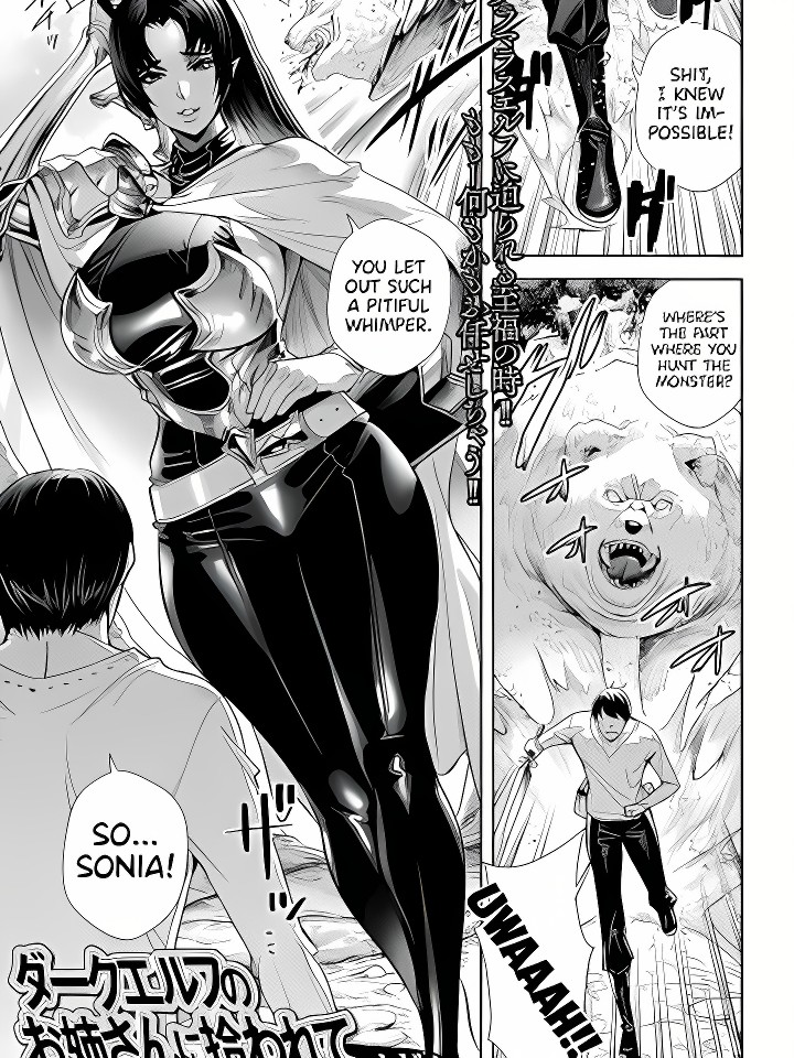 Dark Elf no Onee-san ni Hirowarete | I Was Picked Up By Miss Dark Elf cover